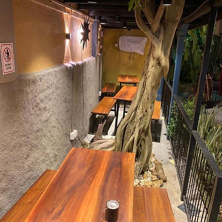 Settle Inn Tourist Lodge Kandy Bagian luar foto