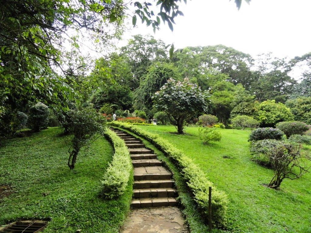 Settle Inn Tourist Lodge Kandy Bagian luar foto