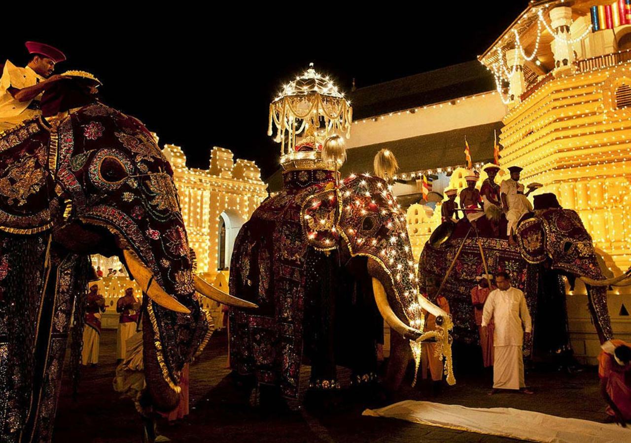 Settle Inn Tourist Lodge Kandy Bagian luar foto